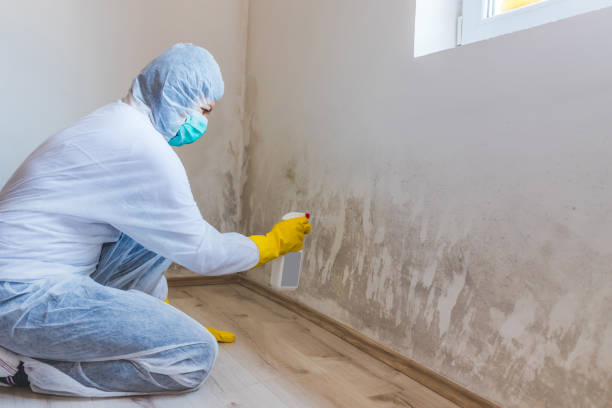 Commercial Mold Remediation assessment for commercial property in Philipsburg