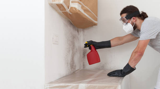Attic Mold Remediation treatment on roof deck in Philipsburg