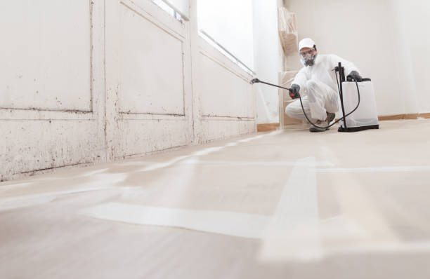 Black mold remediation team in Philipsburg